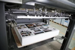 Custom Sales, Marketing and Promotional Printing in Melbourne, FL at A Better Copy
